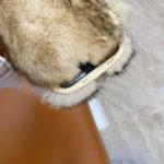 Plüschige, stoßfeste Telefonhülle aus Silikon mit vollständiger Abdeckung, For iPhone 16 Pro Max, For iPhone 16 Pro, For iPhone 16 Plus, For iPhone 16, For iPhone 15 Pro Max, For iPhone 15 Pro, For iPhone 15 Plus, For iPhone 15, For iPhone 14 Plus... – Bild 6