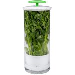 Aufbewahrungsbox für Kräuter und Koriander, Gemüse, Frischhaltebehälter, 31 x 12cm