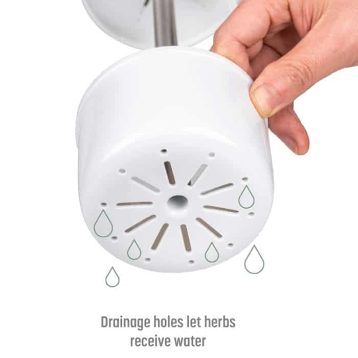 Aufbewahrungsbox für Kräuter und Koriander, Gemüse, Frischhaltebehälter, 31 x 12cm – Bild 3