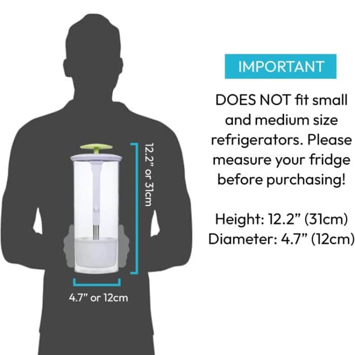 Aufbewahrungsbox für Kräuter und Koriander, Gemüse, Frischhaltebehälter, 31 x 12cm – Bild 4