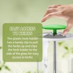 Aufbewahrungsbox für Kräuter und Koriander, Gemüse, Frischhaltebehälter, 31 x 12cm – Bild 6