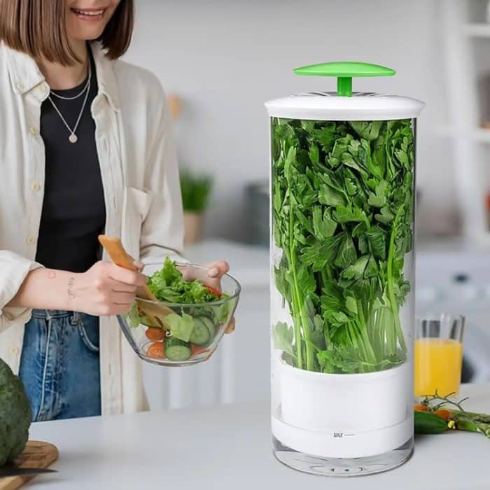 Aufbewahrungsbox für Kräuter und Koriander, Gemüse, Frischhaltebehälter, 31 x 12cm – Bild 7