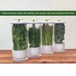 Aufbewahrungsbox für Kräuter und Koriander, Gemüse, Frischhaltebehälter, 31 x 12cm – Bild 8