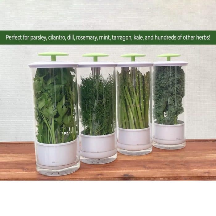 Aufbewahrungsbox für Kräuter und Koriander, Gemüse, Frischhaltebehälter, 31 x 12cm – Bild 8