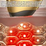 WG-SP-MS1135 EMS Collagen Cannon Essence Introducer Photon Skin Rejuvenation RF Beauty Device, WG-SP-MS113 – Bild 8