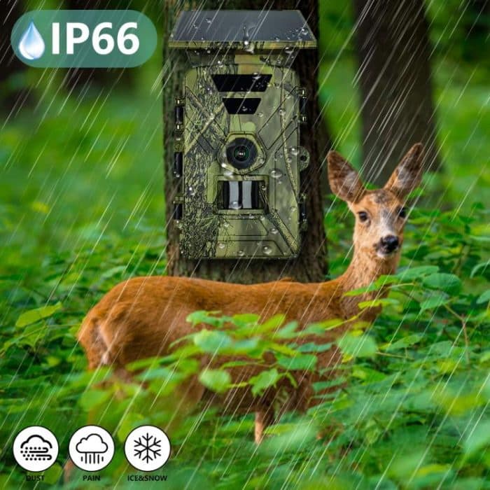 PR903G EU Version 5K HD Night Vision Infrared Hunting Camera with Solar Panel, PR903G US Version – Bild 9
