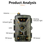 PR802G 4G EU-Version 4K HD Nachtsicht Infrarot-Bewegungserkennung Jagdkamera – Bild 2
