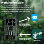 PR804G 4G EU-Version 1080P HD Nachtsicht-Infrarot-Jagdkamera – Bild 9