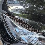 2pcs/Set Forged Gold Foil Carbon Fiber Car Light Eyebrow Decorative Sticker for Chevrolet Corvette C8 2020-, Left and Right Driver, Light Eyebrow – Bild 4