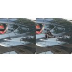 4pcs/Set Forged Gold Foil Carbon Fiber Car Rear Sides Decorative Sticker for Chevrolet Corvette C8 2020-, Left and Right Driver, Rear Sides – Bild 5