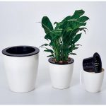 Lazy Flower Pots Automatische wasserabsorbierende Hydroponik-Topfpflanzen Kreisförmige Harz-Kunststoff-Blumentöpfe Zweischichtiges Design Selbstbewässernder Pflanzer, Durchmesser: 11 cm, Höhe: 10,3 cm (weiß) – Bild 9