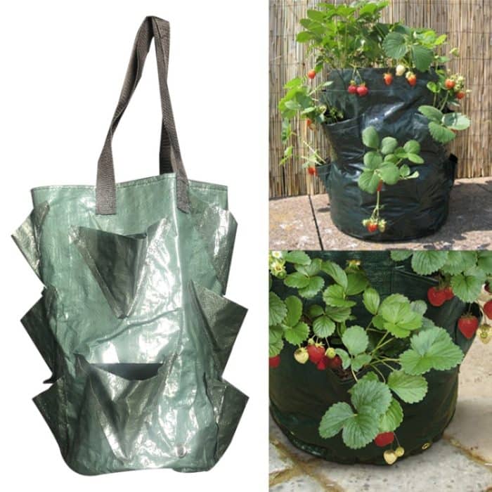HC5680G.jpg CMD-3 3 Gallonen hängende Erdbeer-PE-Pflanztasche, Gartenbau-Blumen-Pflanztasche – Bild 1