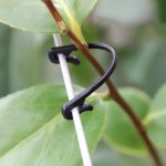100 PCS / 2 Packungen Gardening Vine Grape Tied Tie Strap – Bild 6