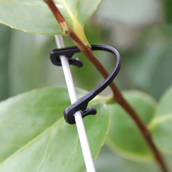 100 PCS / 2 Packungen Gardening Vine Grape Tied Tie Strap – Bild 6