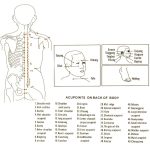 4 Tassen/Set, Gesundheitspflege, Körpermassage, Schröpftherapie, Anti-Cellulite-Silikon-Vakuumnäpfe – Bild 6