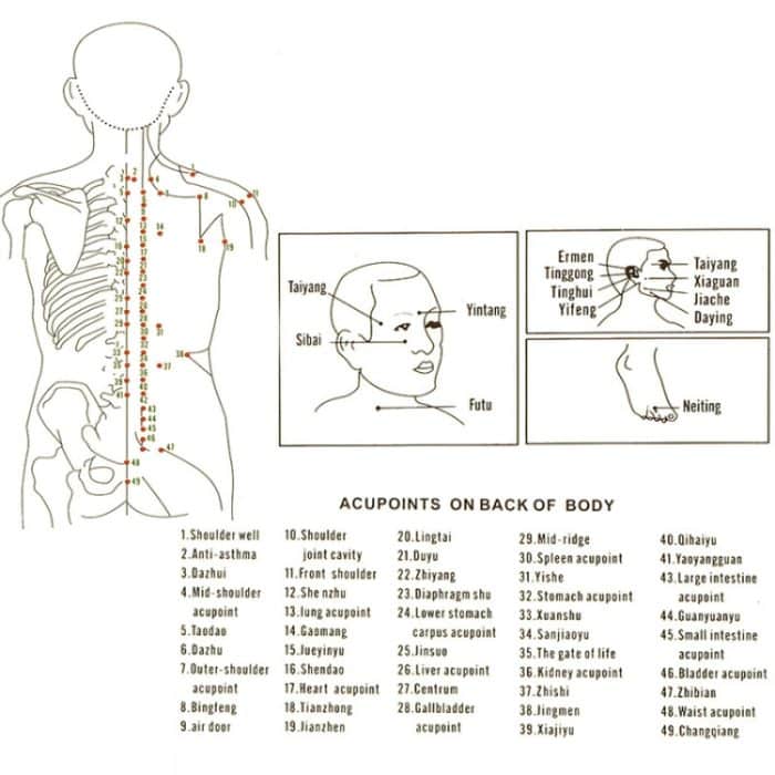 4 Tassen/Set, Gesundheitspflege, Körpermassage, Schröpftherapie, Anti-Cellulite-Silikon-Vakuumnäpfe – Bild 6