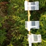 100 PCS Plant Grafting Gardening Kunststoff Pfropfordner Pfropfclip Transparente Gartenarbeit Kunststoff Pfropfclip Tomaten Pfropfclips – Bild 10