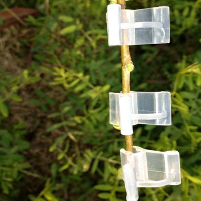 100 PCS Plant Grafting Gardening Kunststoff Pfropfordner Pfropfclip Transparente Gartenarbeit Kunststoff Pfropfclip Tomaten Pfropfclips – Bild 10