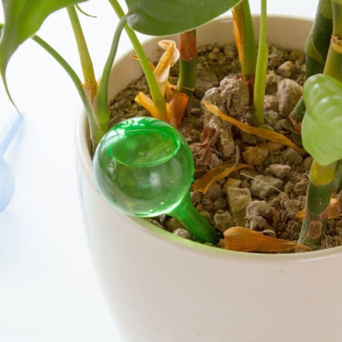 3 PCS Kugelform Automatische Bewässerungsmaschine Bewässerungsgerät Garten-Tropfgerät Blumen Topf-Bewässerungsgerät, zufällige Farbabgabe – Bild 1