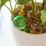 3 PCS Kugelform Automatische Bewässerungsmaschine Bewässerungsgerät Garten-Tropfgerät Blumen Topf-Bewässerungsgerät, zufällige Farbabgabe – Bild 5