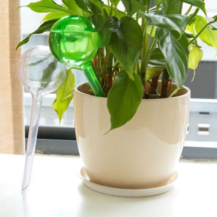 3 PCS Kugelform Automatische Bewässerungsmaschine Bewässerungsgerät Garten-Tropfgerät Blumen Topf-Bewässerungsgerät, zufällige Farbabgabe – Bild 8