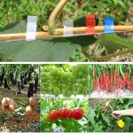 Landwirtschaft Klebeband Werkzeug Hand Bindemaschine Garten Pflanze Klebeband Werkzeug Tapener Maschine Klebeband Maschine, Adhesive Tape Machine (Green), Adhesive Tape Machine(Yellow) – Bild 10