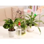 2 PCS tragbare kleine Kunststoff Bewässerung Sprinkler Kessel Mund Flaschenverschluss Pflanze Bewässerung Sprinkler tragbare Haushalts Topfpflanze Bewässerung Gartengeräte Bewässerung Sprinkler Mund, zufällige Farbabgabe – Bild 6