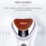 BLK-D020 Ionenimport- und Exportinstrument Gesichtsschönheitsmassagegerät Heizungsvibration Gesichtsbehandlungsinstrument – Bild 8