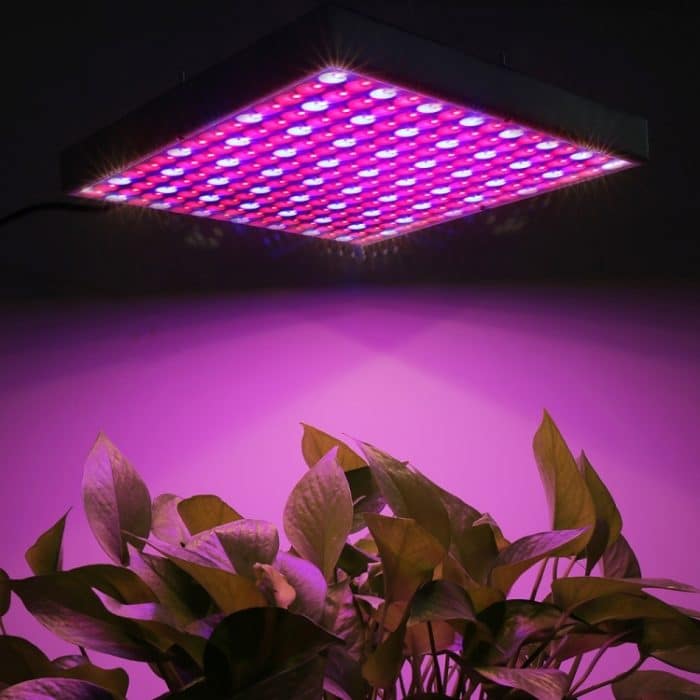 LED0469.jpg 45W SMD 2835 Rot + Blau Licht LED Pflanzenwachstumslicht, 225 LEDs Greenhouse Light Aquarium Light, AC 85-265V – Bild 1