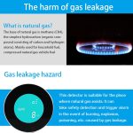 PA-210W WiFi + Tuya Gasalarm – Bild 12