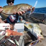 HENGJIA 6# 12 cm realistische Farbe Rock Kunststoff harte Köder Angelköder Angelgerät Köder, zufällige Farblieferung, 1#, 2#, 3#, 4#, 5#, 6# – Bild 5