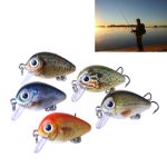 HENGJIA 5 PCS 2,7 cm / 1,5 g Luya Rock Fishing Lures Köder Bionic Kit mit Plastikbox