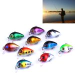 HENGJIA 10 PCS 3 cm / 1,5 g Luya Rock Fishing Lures Köder Bionic Kit mit Plastikbox