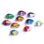HENGJIA 10 PCS 3 cm / 1,5 g Luya Rock Fishing Lures Köder Bionic Kit mit Plastikbox – Bild 2
