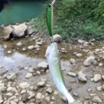 HENGJIA 6 PCS 8,5 cm 8,9 g Minnow Plastic Hartköder Angelköder Set Angelgeräte Köder – Bild 6