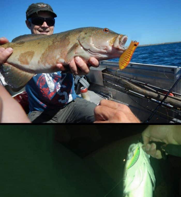 HENGJIA HENG JIA-SETL30 30 PCS Minnow Angelköder Set 6 Modelle Angelgerät Kunststoff Hartköder – Bild 5