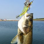 HENGJIA 8 cm harte Plastikköder, Tintenfisch-Angelköder, Köder, Holz, Garnelenköder, 1# (Magenta+Dark Red), 2# (Orange + Yellow), 3# (Yellow), 5# (Magenta), 6# (Orange), 7# (Blue) – Bild 3