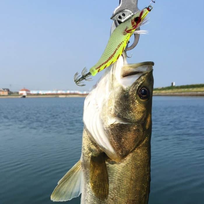 HENGJIA 8 cm harte Plastikköder, Tintenfisch-Angelköder, Köder, Holz, Garnelenköder, 1# (Magenta+Dark Red), 2# (Orange + Yellow), 3# (Yellow), 5# (Magenta), 6# (Orange), 7# (Blue) – Bild 3