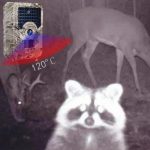 PR-200 IP54 Wasserdichte IR-Nachtsicht-Jagdkamera, 120-Grad-Weitwinkel, 100-Grad-PIR-Erfassungswinkel – Bild 6