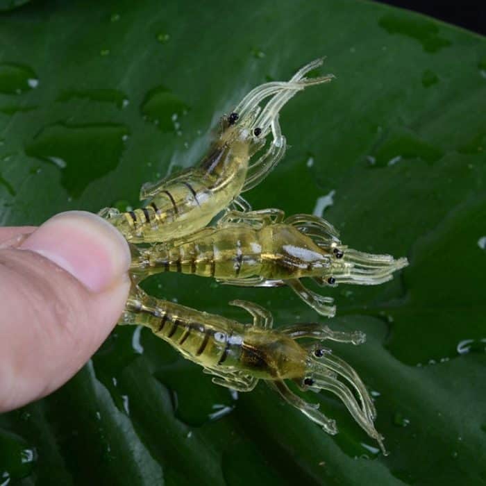 10 Stück 4 cm Angeln Soft Bait Lures Popper Poper Baits, Artificial Shrimp, Luminous Shrimp, Pink Shrimp, Green Shrimp, Transparent Shrimp – Bild 6