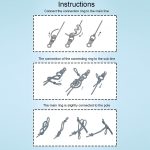 500 PCS Mixed Size Fischstachelhaken Angelhaken mit Loch – Bild 10