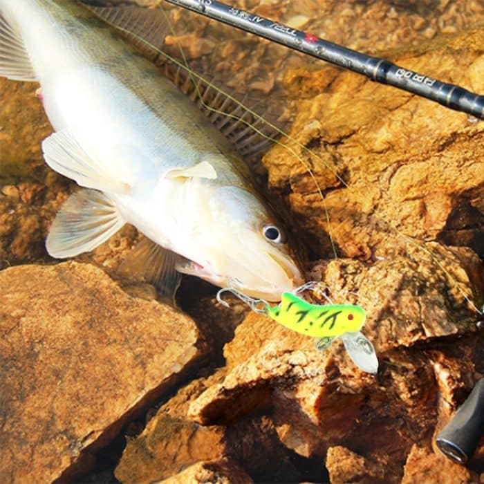 HENGJIA 4.5cm Biomimetic Fly Locusts Angelköder Angelköder, zufällige Farbabgabe – Bild 5