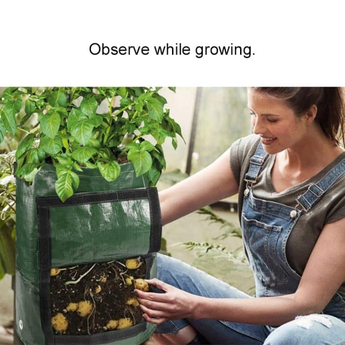 2 Stück 10 Gallonen PE-Beutel zum Anpflanzen von Kartoffeln, Pflanzbeutel für Gemüse, Bauernhof- und Gartenbedarf, Größe: 35 cm x 45 cm, 35cm x 45cm – Bild 6