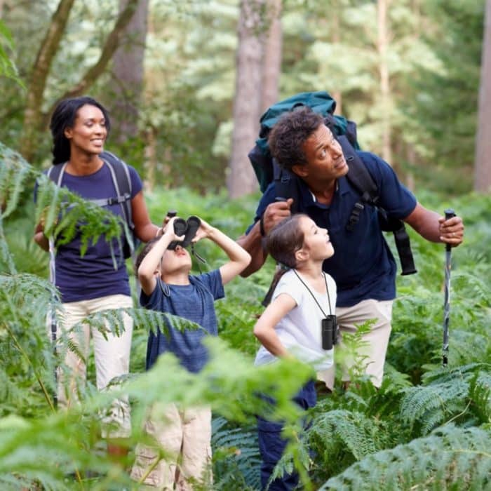 MOGE 100x22 Outdoor Professional HD-Fernglas – Bild 6