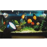 2.3W wasserdichte Scheinwerfer, 36 LED Amphibienfischbecken / Aquarium Buntes Licht, wasserdichte Tiefe: 1-1,5 m (schwarz) – Bild 3