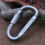 2PCS Multifunktionale hochwertige Aluminiumlegierung D-Form Camping Hang Buckle Carabiner – Bild 2
