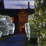 4x6m 672 LEDs Wasserdichte Fischernetz Lichter Vorhang Lichterketten Fee Hochzeit Party Urlaub Dekoration Lampen 220V, EU Stecker – Bild 6