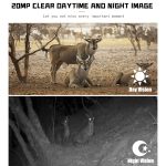 PR700 1080P WILDLIFE Jagdkamera Bewegung aktivierte Nachtsicht-Camcorder für den Außenverfolgungs-Scan-Trigger – Bild 7