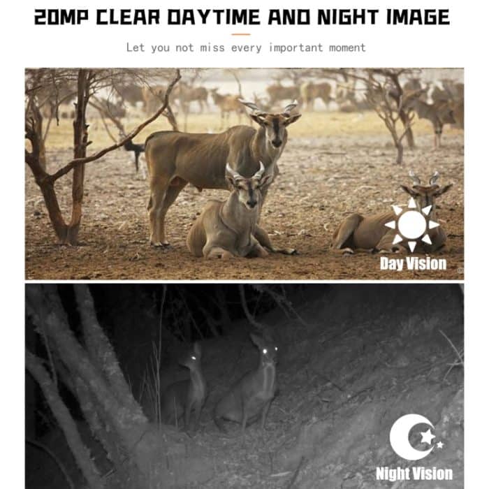 PR700 1080P WILDLIFE Jagdkamera Bewegung aktivierte Nachtsicht-Camcorder für den Außenverfolgungs-Scan-Trigger – Bild 7