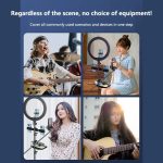 C18 Home Soundkarte Karaoke Audio Integriertes Mikrofon Komplettes Set – Bild 3